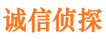 开县市侦探调查公司